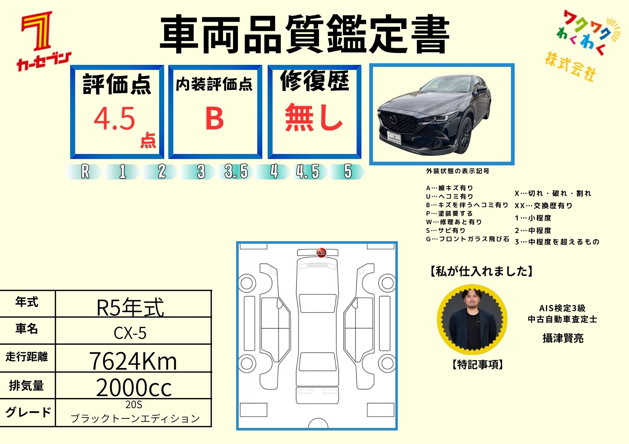 評価書（5.0点／修復歴無）