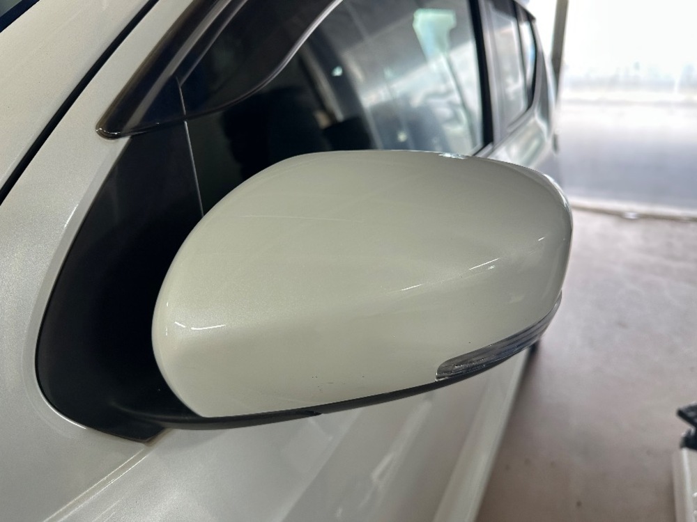 ドアミラーカバー（別角度）