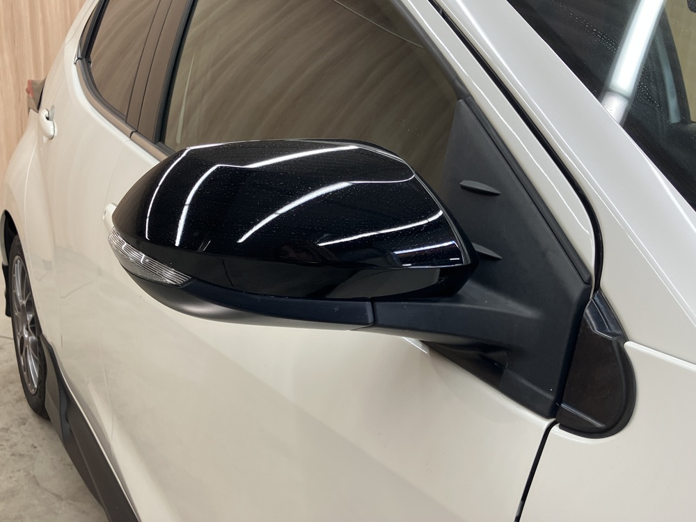 ブラックドアミラー