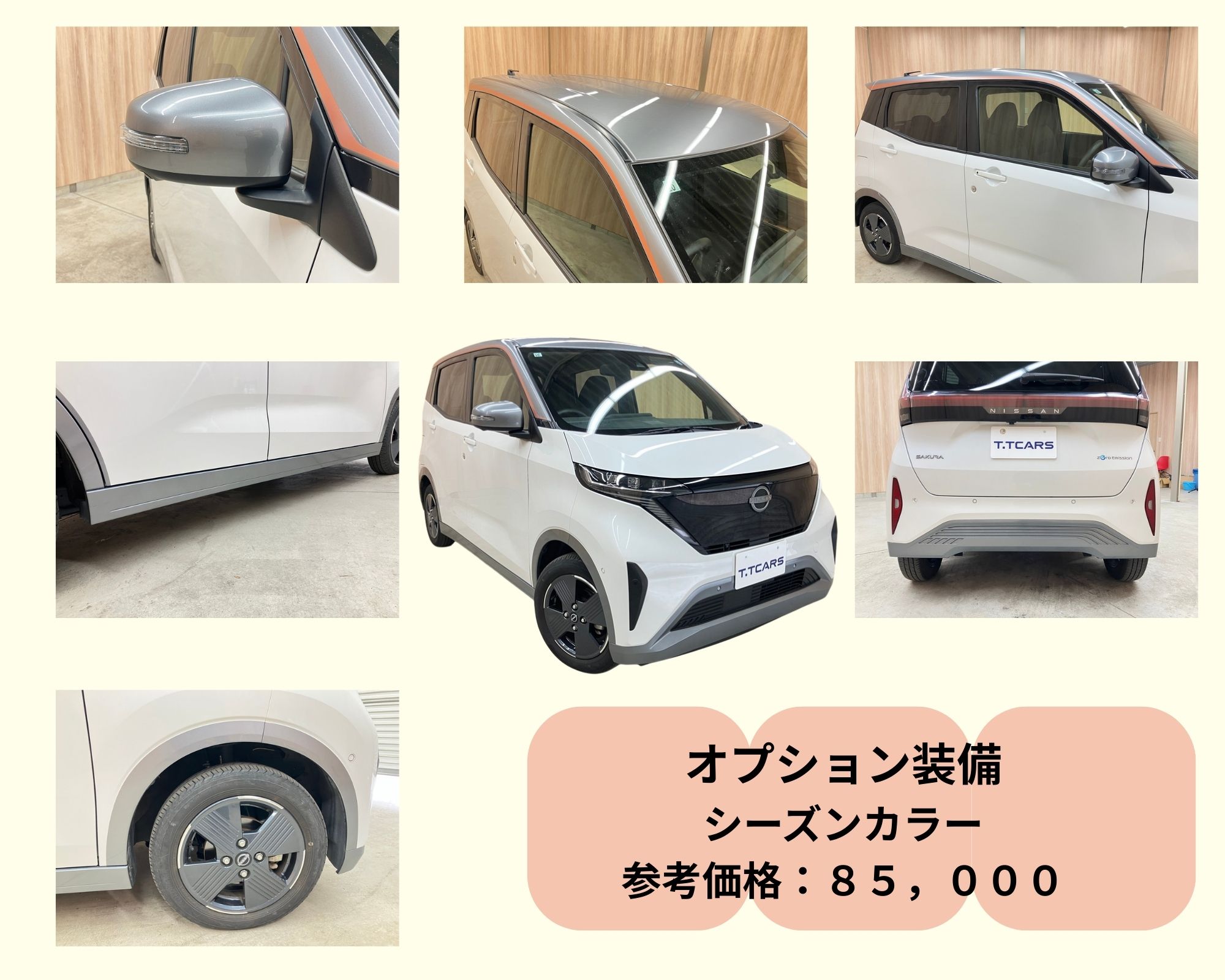 シーズンズカラー