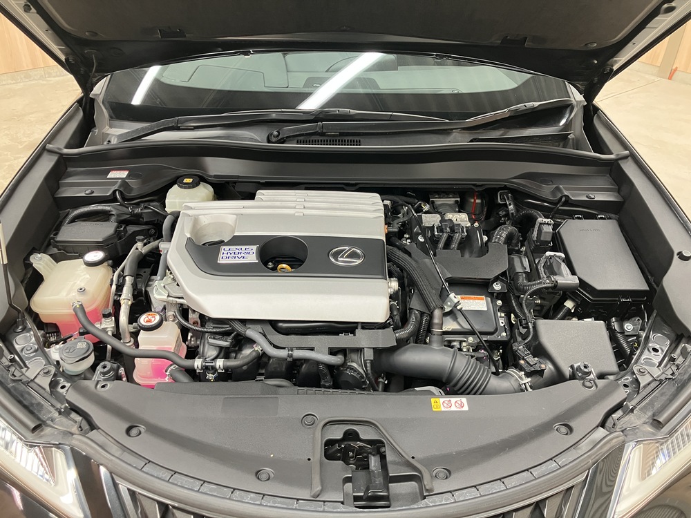 バッテリー交換済